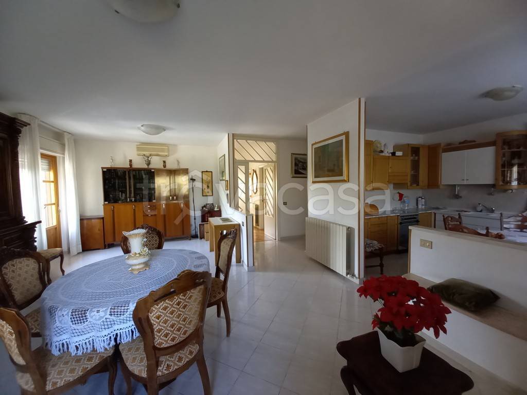 immagine annuncio 5 di 14