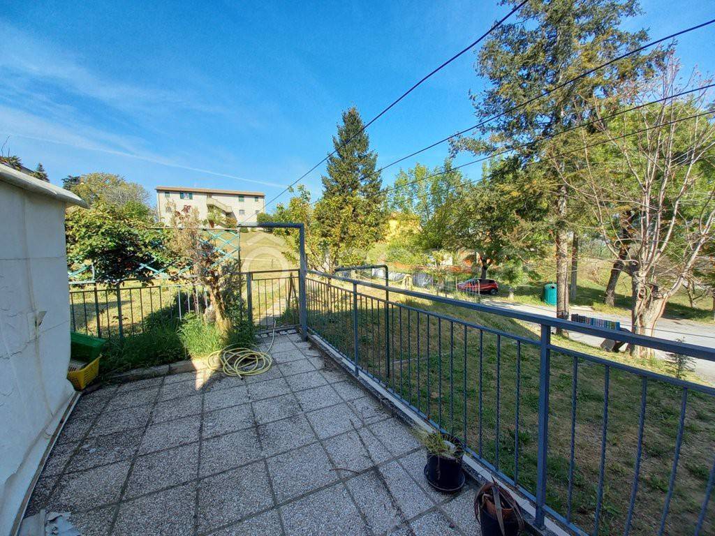 immagine annuncio 12 di 14