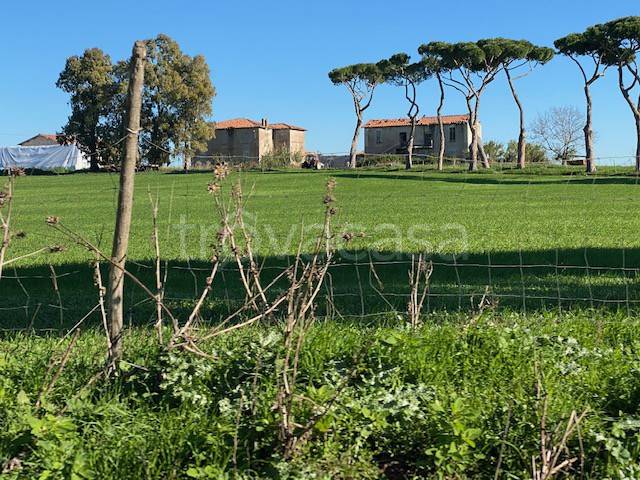 Terreno Agricolo in vendita a Roma via di Dragoncello