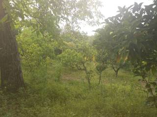 Terreno agricolo in vendita a nocera inferiore via degli olivetani