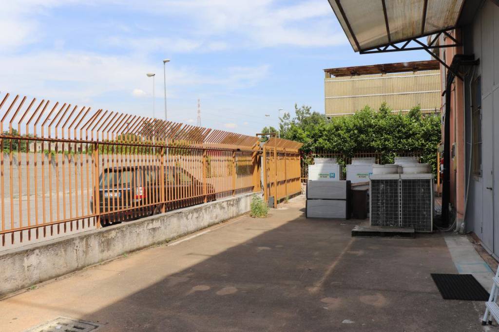 immagine annuncio 10 di 15