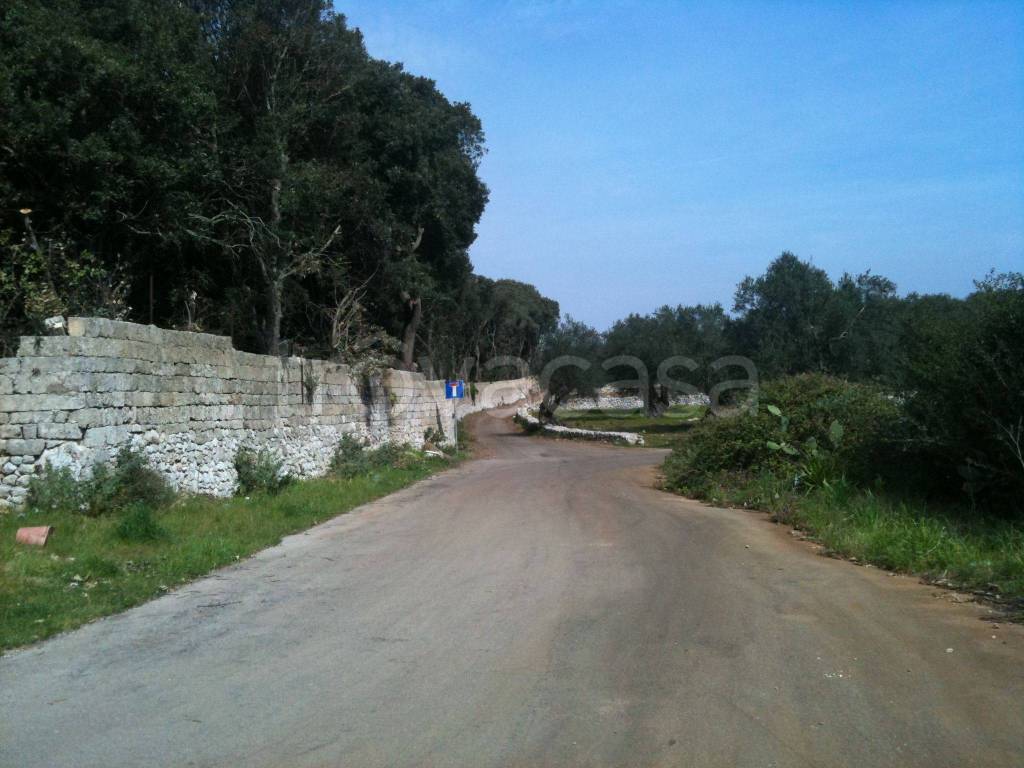 Terreno Agricolo in vendita a Gagliano del Capo strada Provinciale Lecce Santa Maria di Leuca