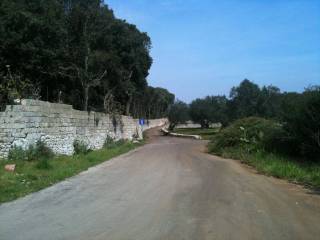 Terreno agricolo in vendita a gagliano del capo strada provinciale lecce santa maria di leuca