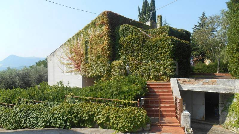 immagine annuncio 1 di 14