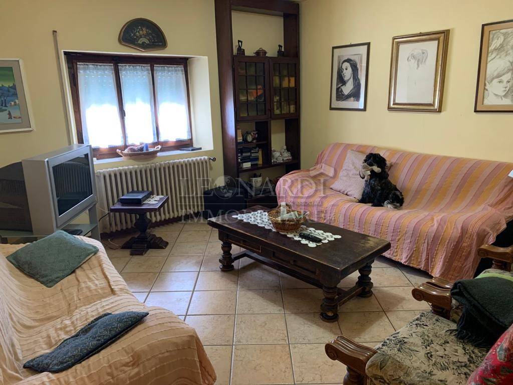 immagine annuncio 12 di 13