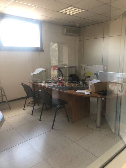 immagine annuncio 4 di 8