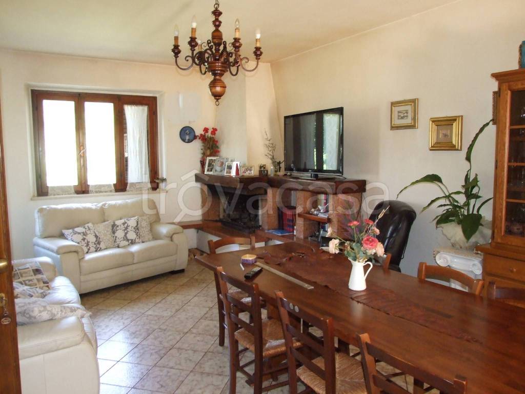 immagine annuncio 5 di 14