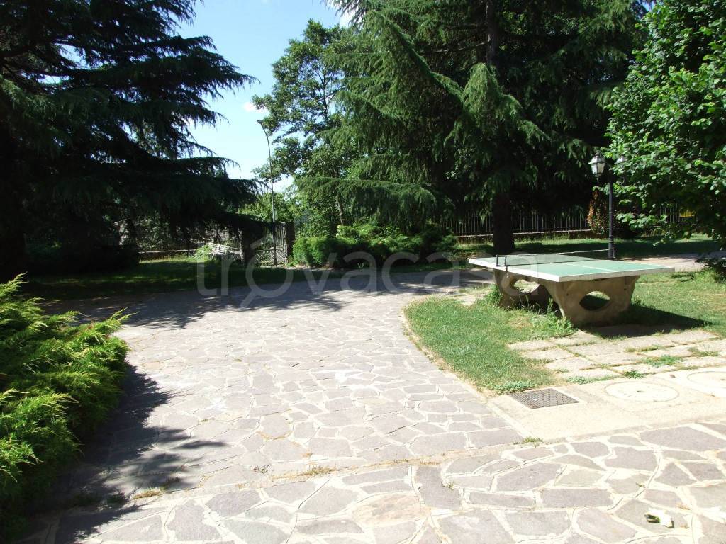 immagine annuncio 8 di 12
