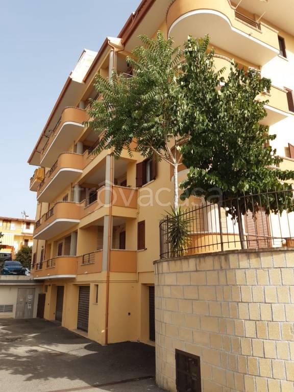 immagine annuncio 4 di 7