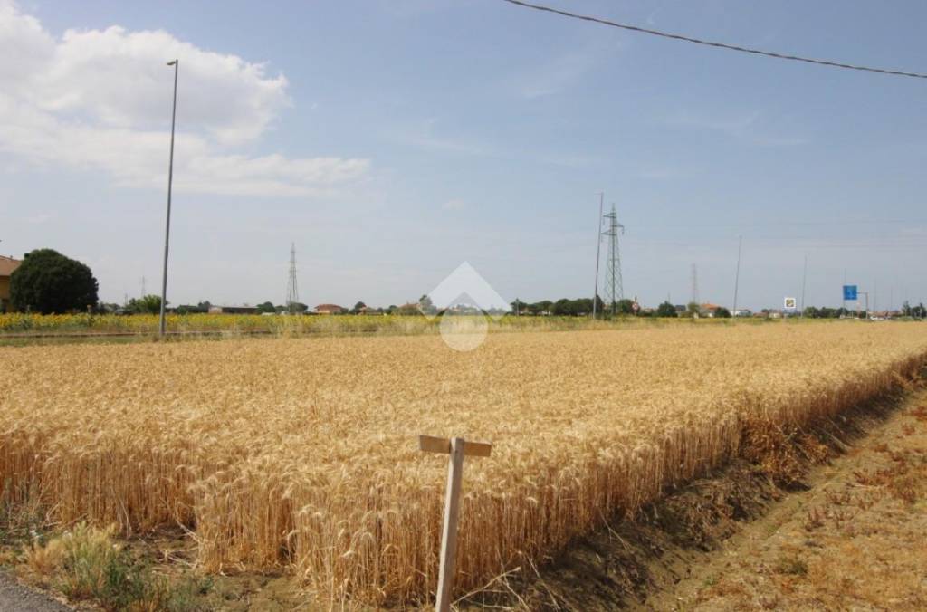 Terreno Agricolo in vendita a Savignano sul Rubicone via Cagnona