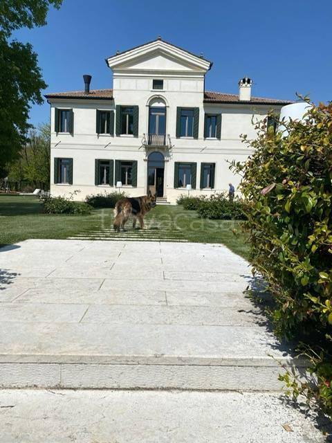 Villa in vendita a Nervesa della Battaglia v.G.B.Canal 2 Bavaria