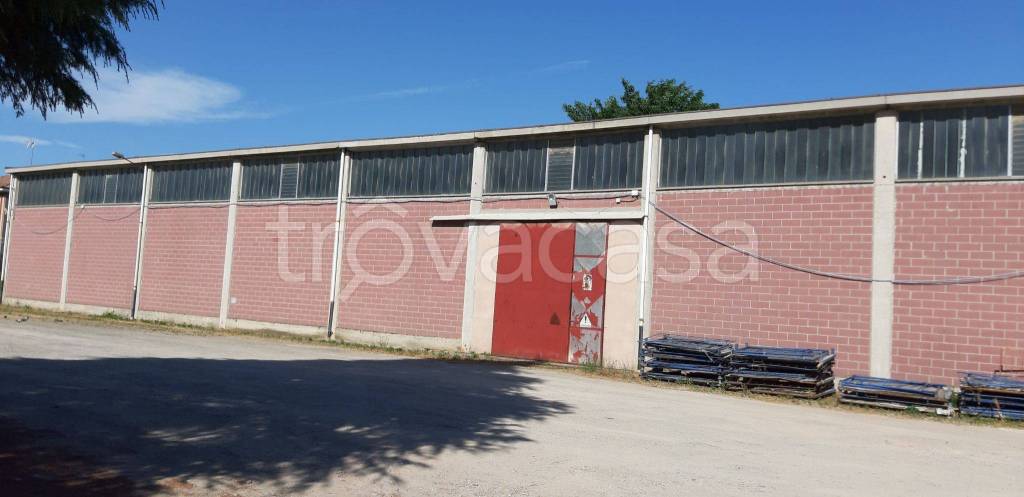 Capannone Industriale in in affitto da privato a Pozzolo Formigaro via Vittorio Veneto, 91