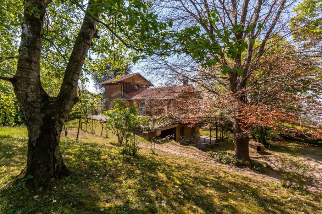 immagine annuncio 7 di 14