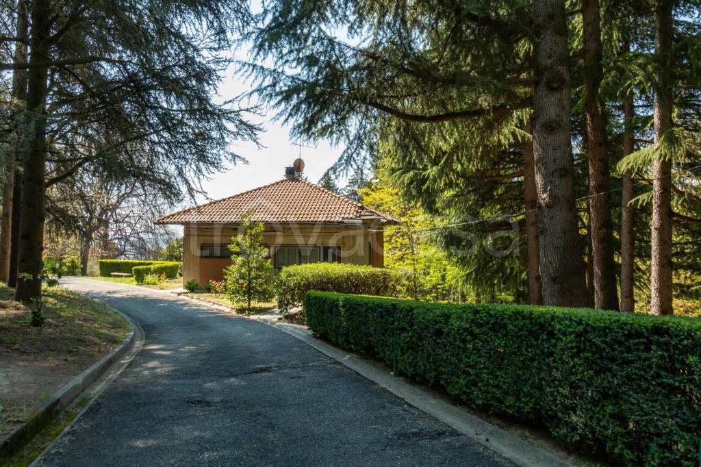 immagine annuncio 8 di 14