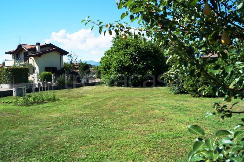 immagine annuncio 2 di 4