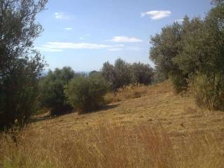 Terreno residenziale in vendita a bovalino 