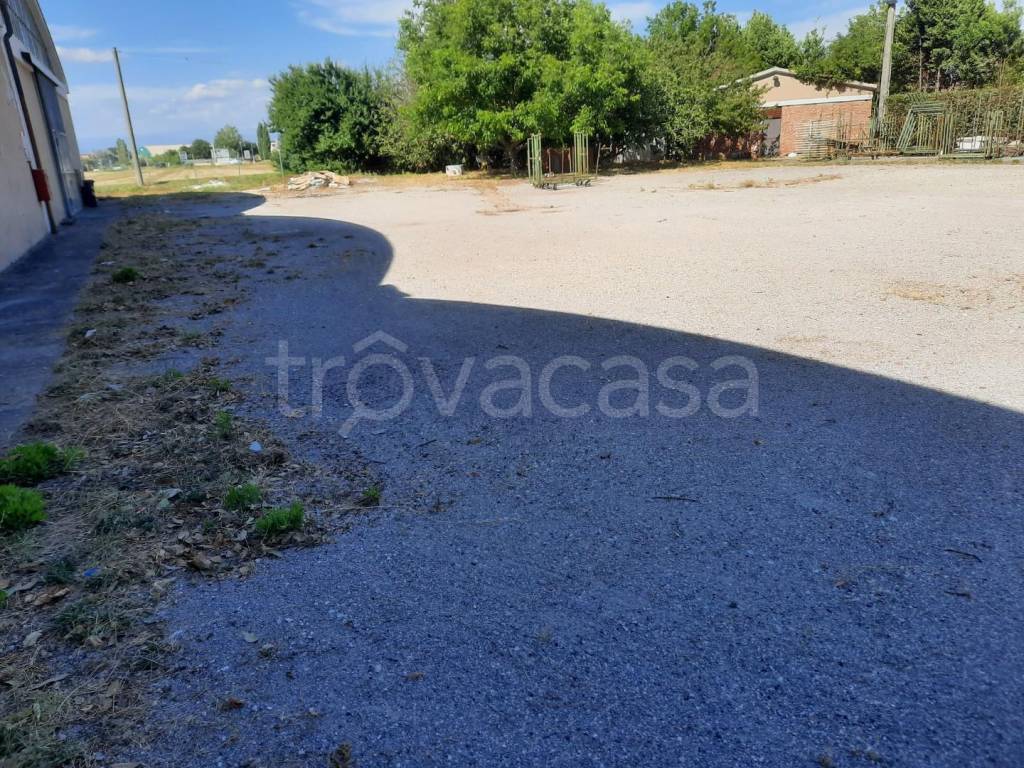 immagine annuncio 4 di 6