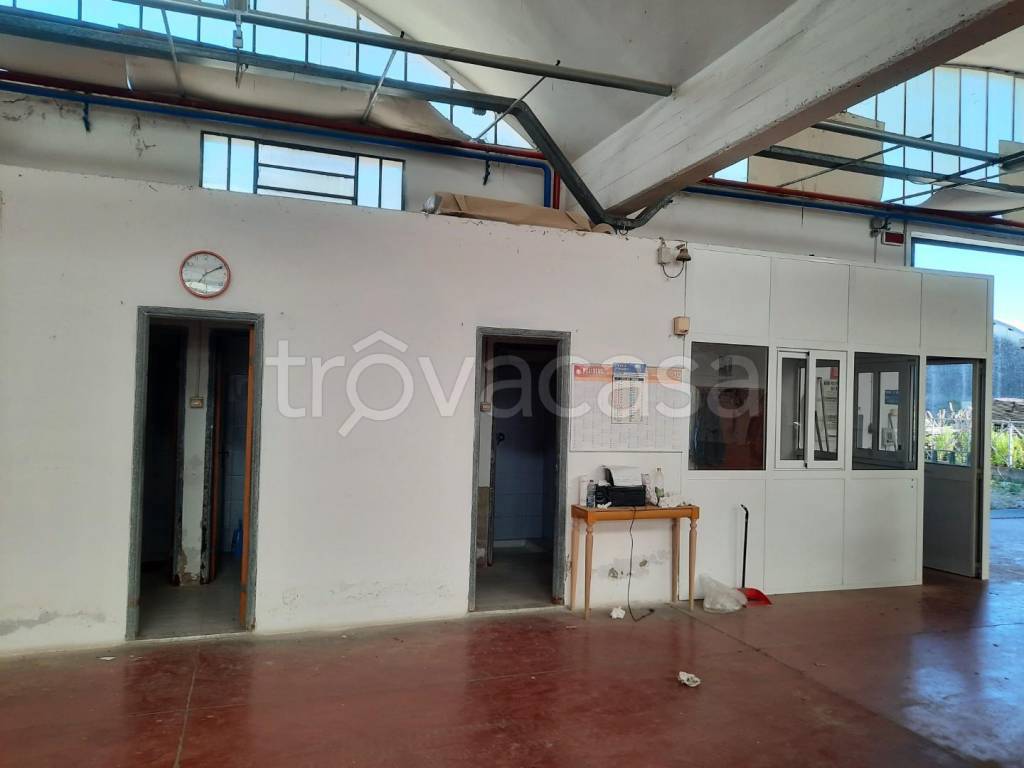 immagine annuncio 5 di 6