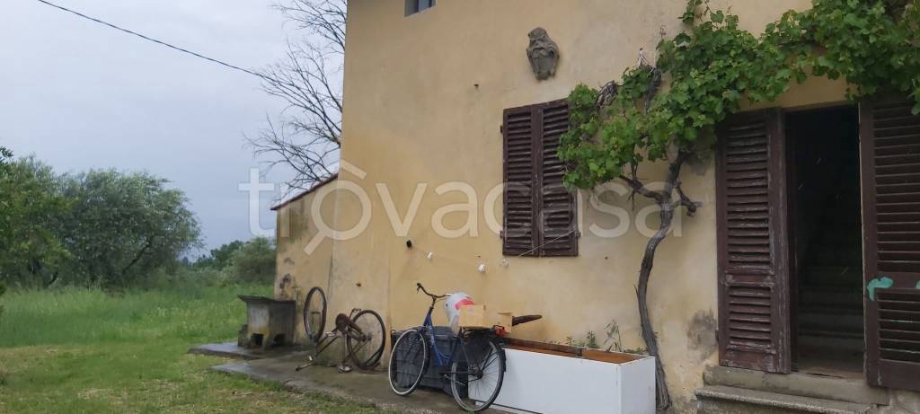 immagine annuncio 12 di 14