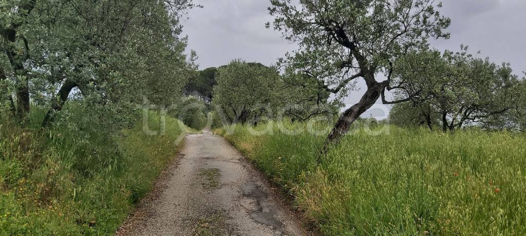 immagine annuncio 4 di 14