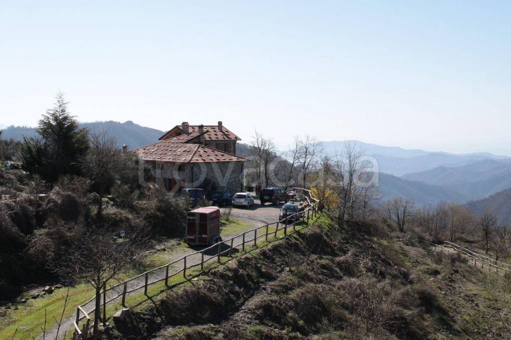 immagine annuncio 4 di 8