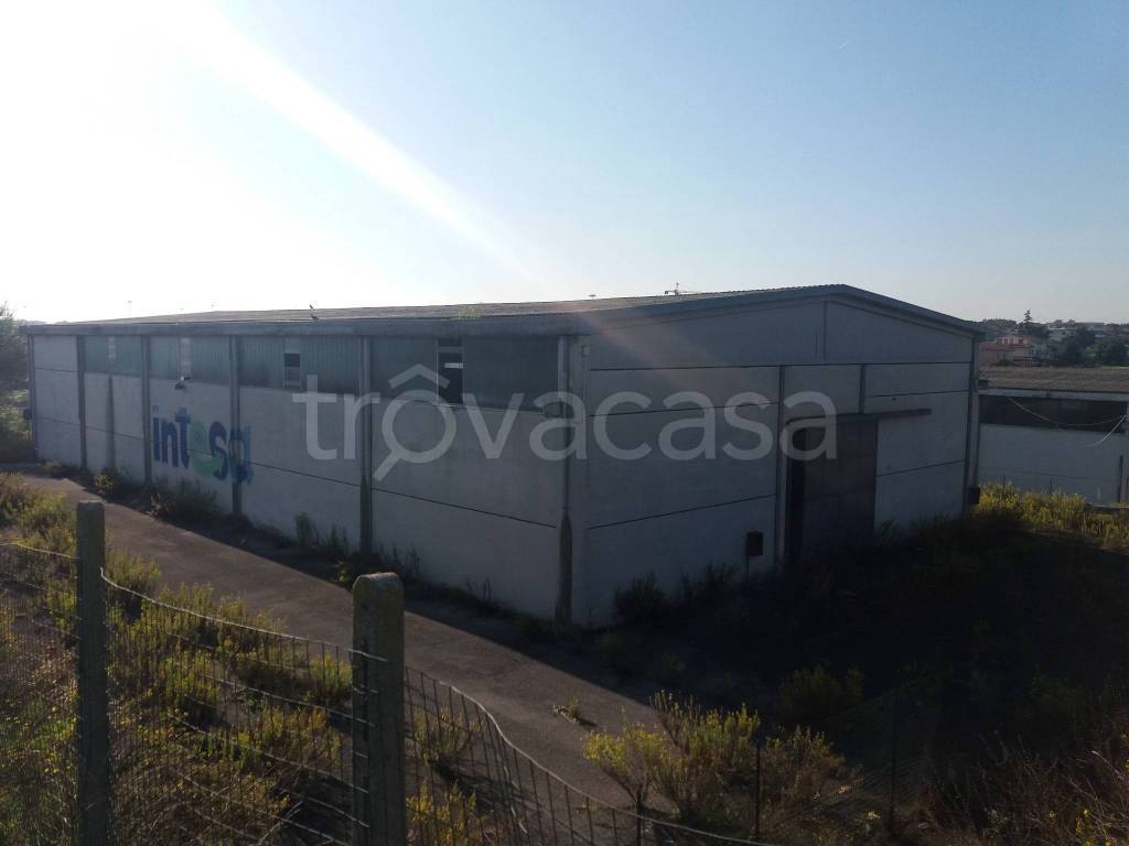 immagine annuncio 4 di 12