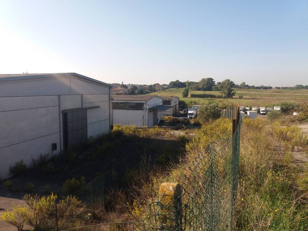 immagine annuncio 5 di 12