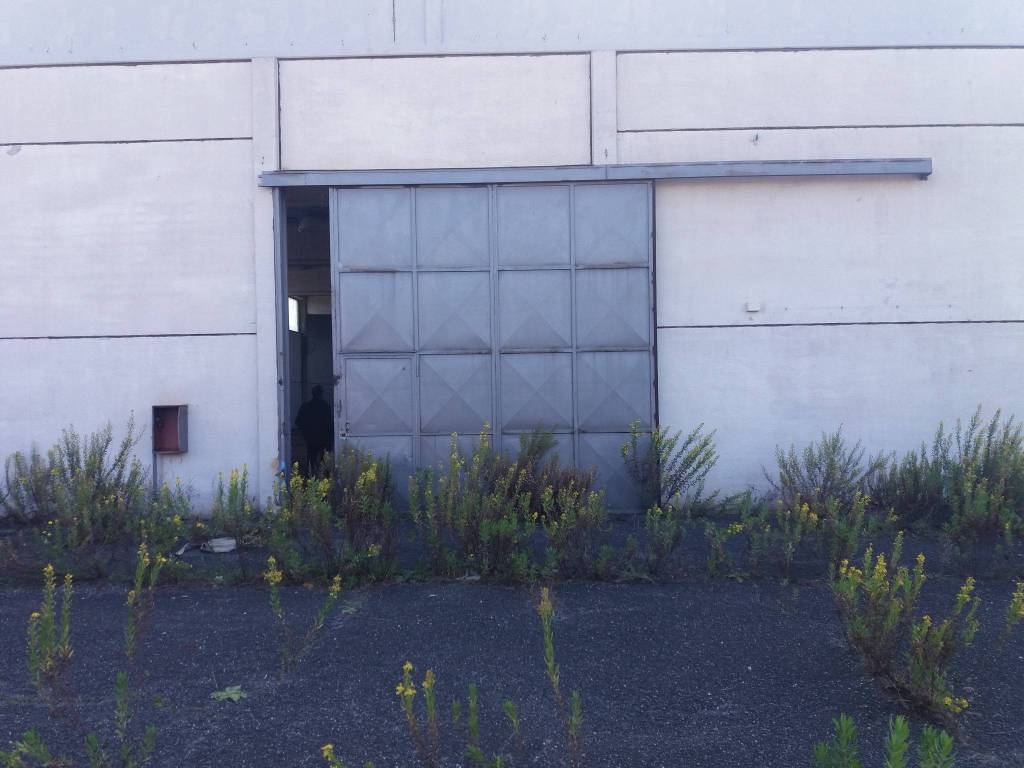 immagine annuncio 6 di 12