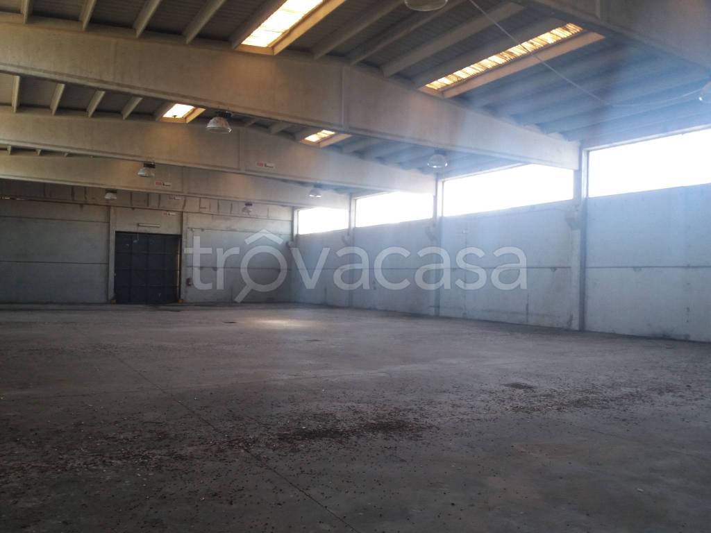 immagine annuncio 7 di 12