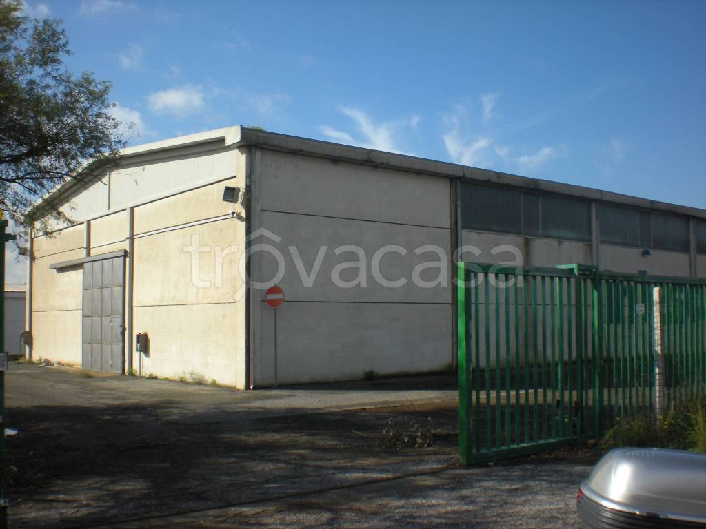 immagine annuncio 9 di 12