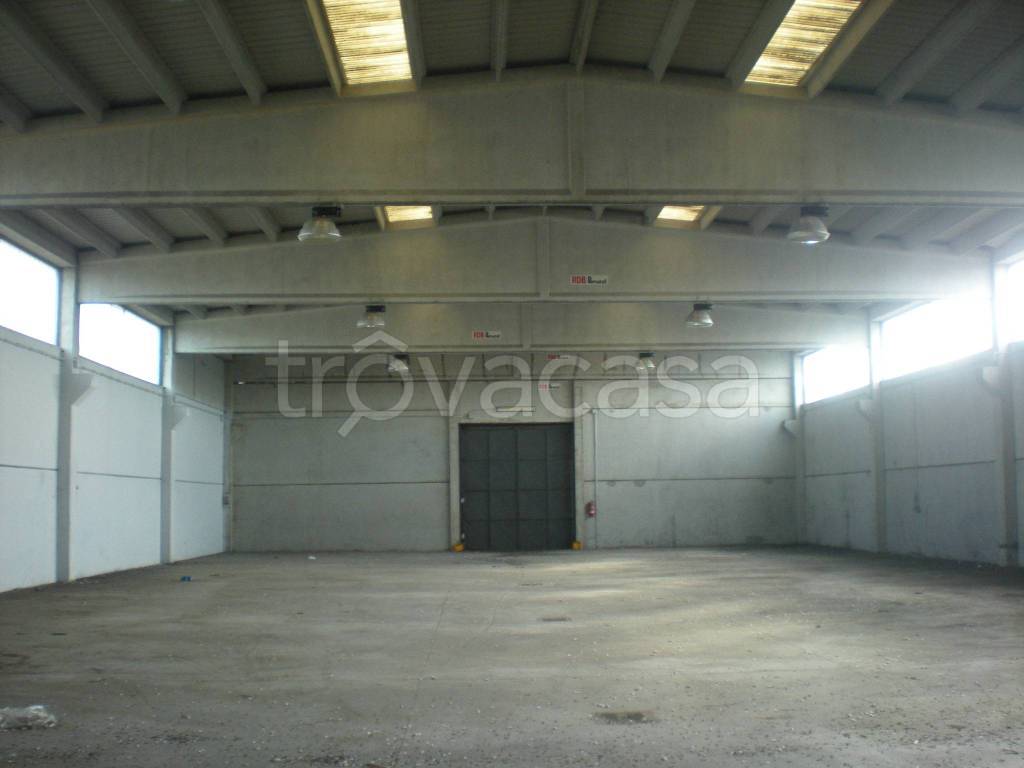 immagine annuncio 10 di 12