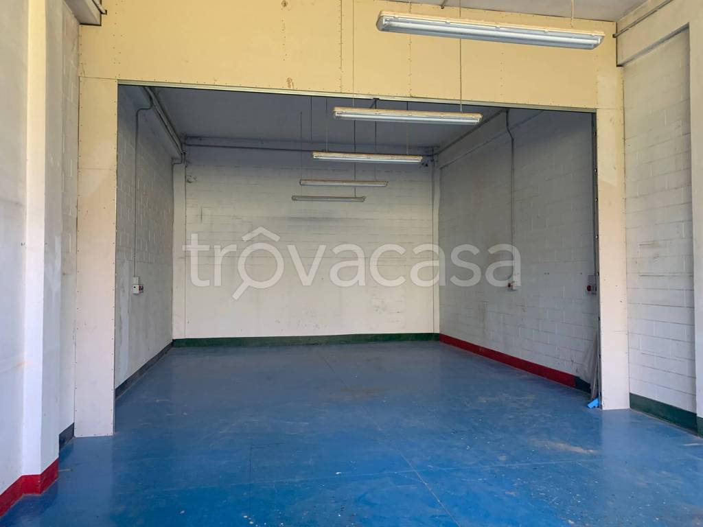 immagine annuncio 1 di 7