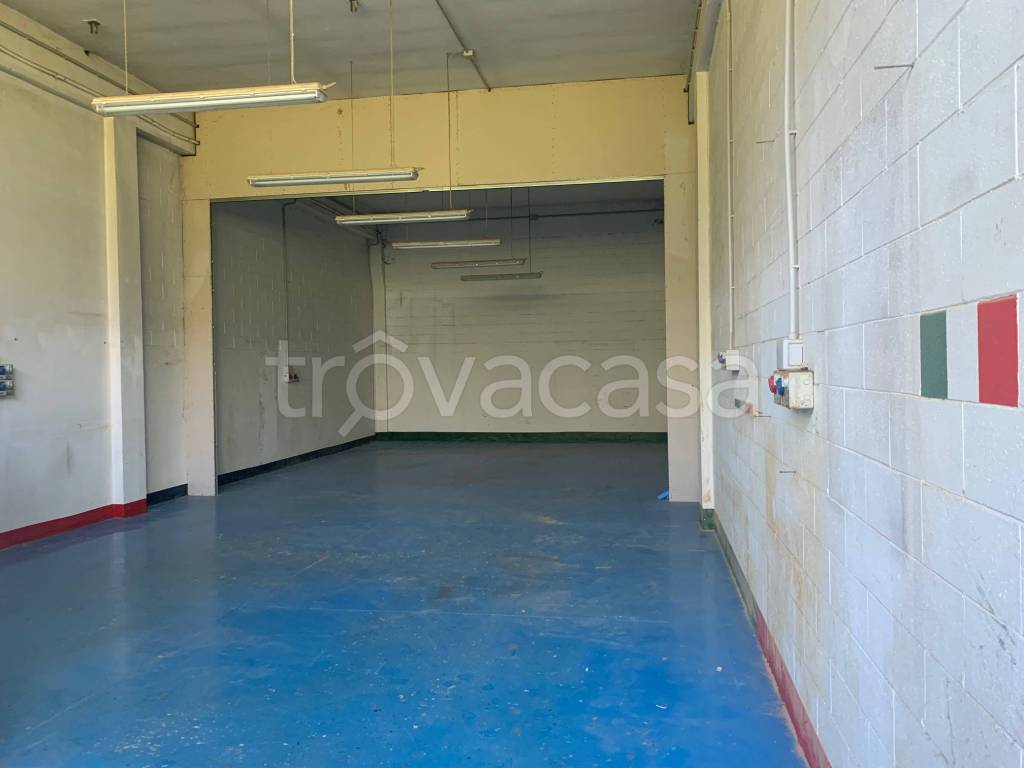 immagine annuncio 2 di 7