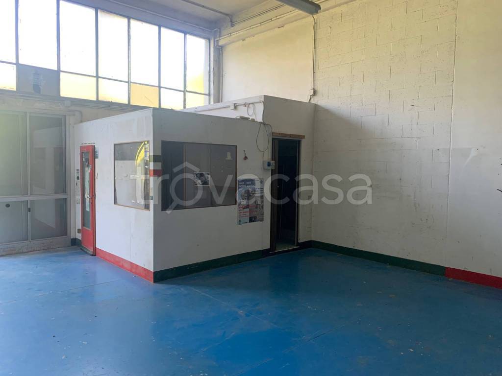 immagine annuncio 3 di 7