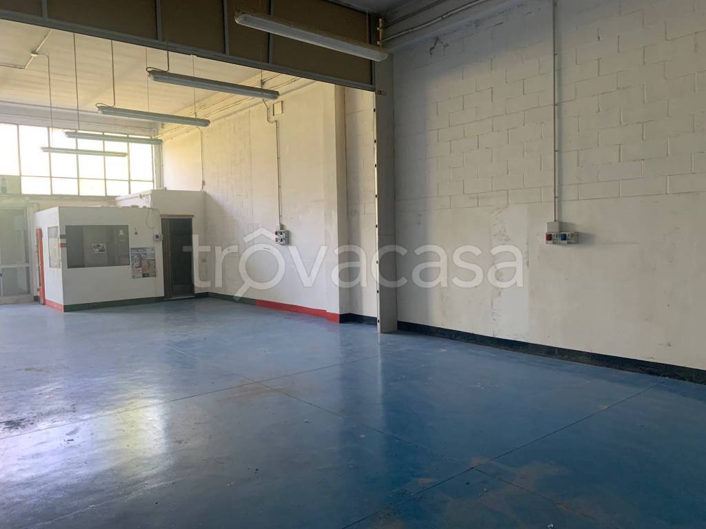 immagine annuncio 5 di 7