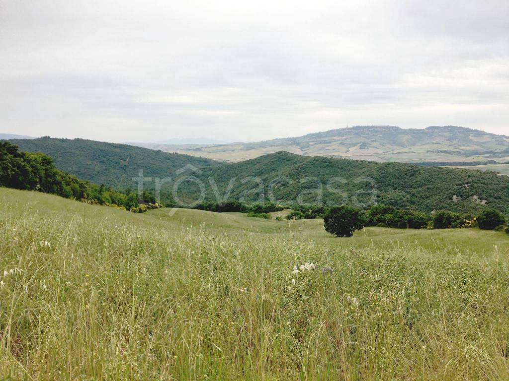 Terreno Agricolo in vendita a Volterra via Vicinale di Batazzone