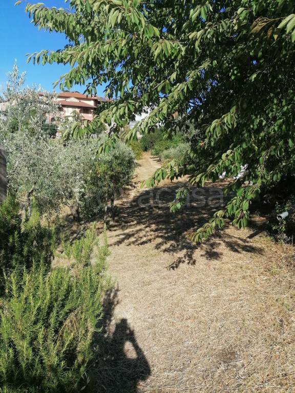 Terreno Residenziale in vendita a Torrita di Siena via Monte Bianco