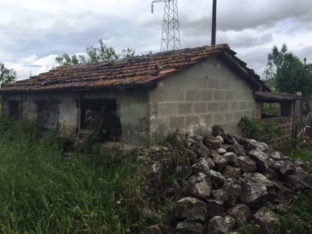 immagine annuncio 1 di 6