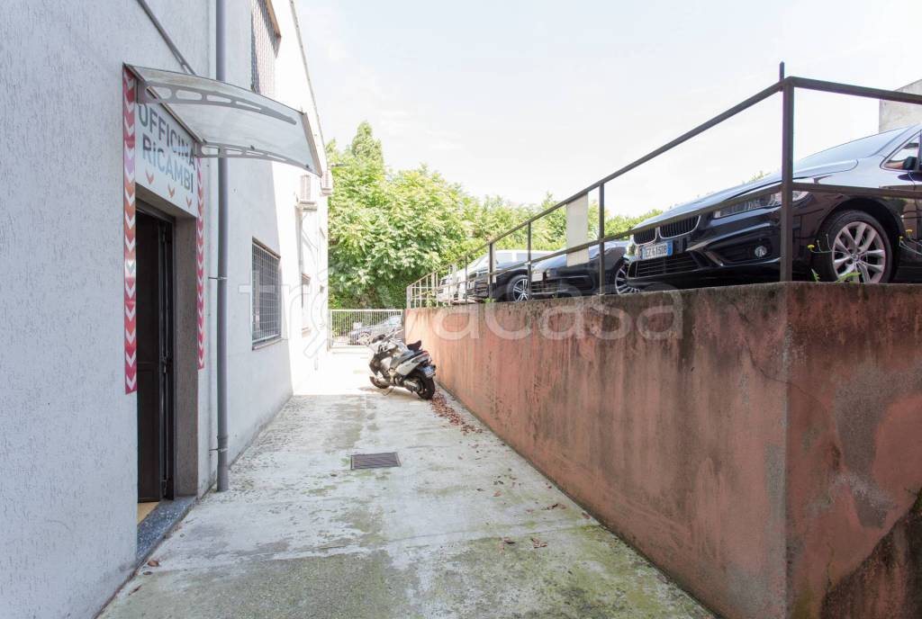 immagine annuncio 11 di 15