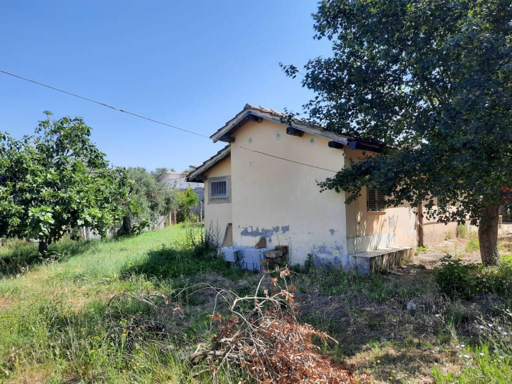 immagine annuncio 2 di 10