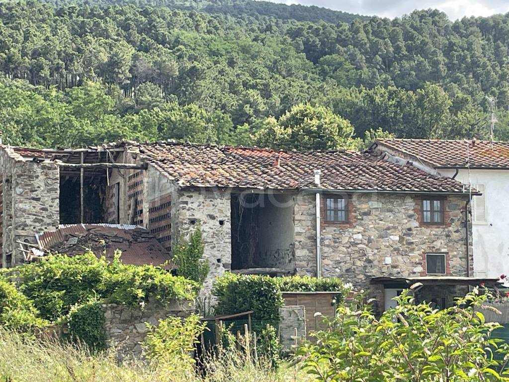 Casale in vendita a Capannori via Giuseppe Giusti, 32A