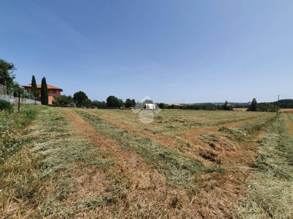 Terreno Agricolo in vendita a San Giovanni in Marignano via Roma, 100B