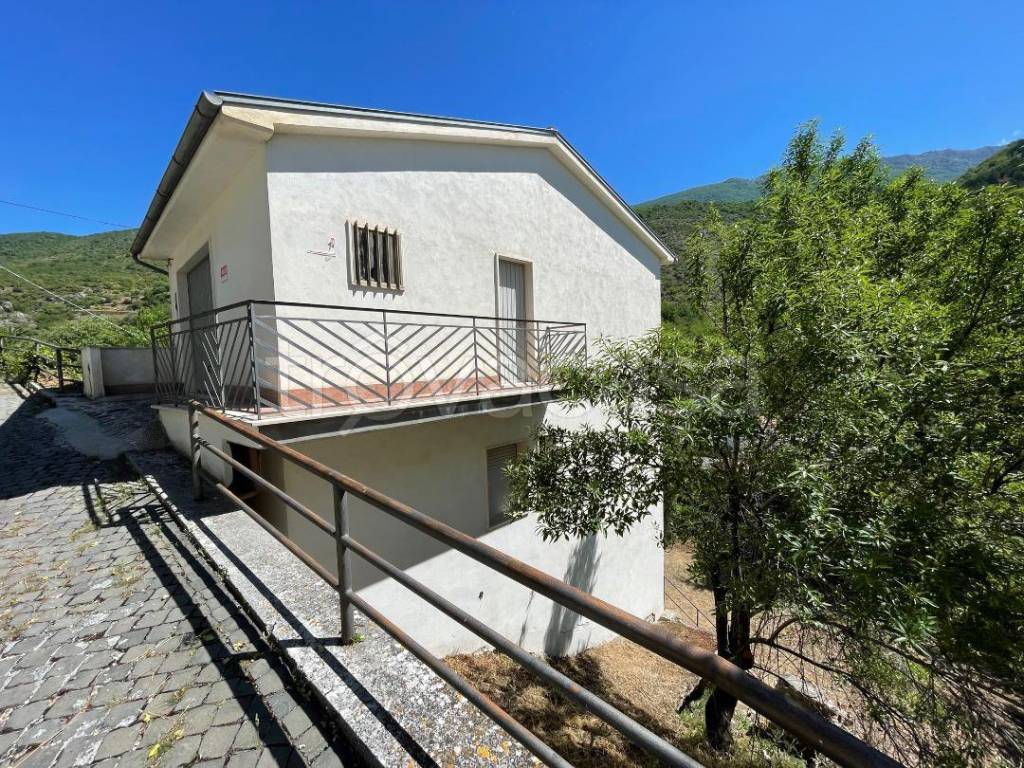 immagine annuncio 4 di 12