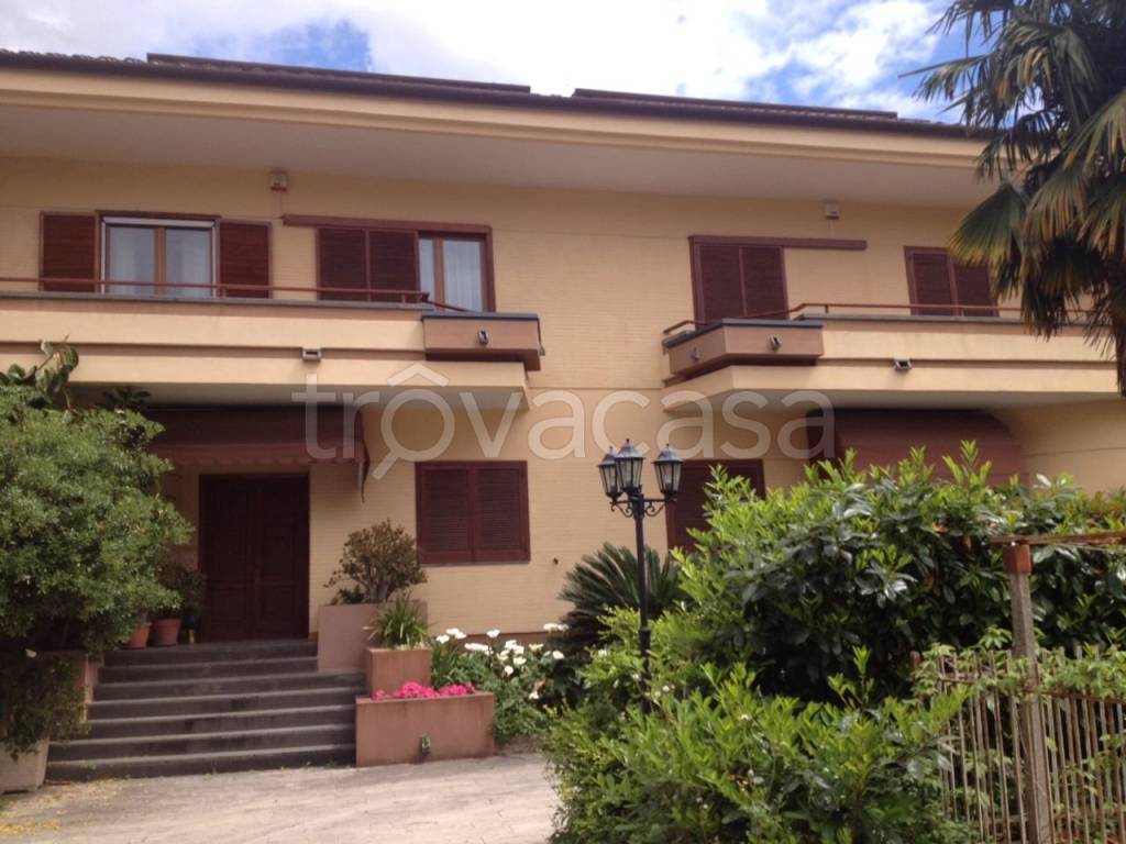 Villa Bifamiliare in in vendita da privato a Caserta via Gennaro Papa, 34