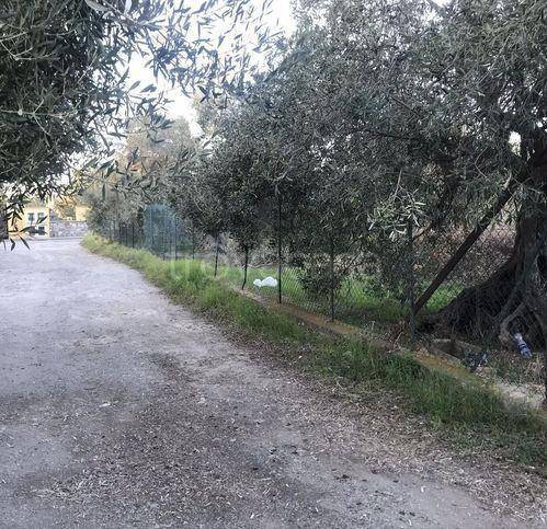 immagine annuncio 2 di 4