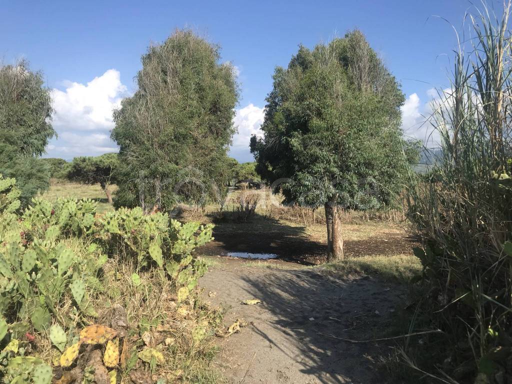 immagine annuncio 12 di 14