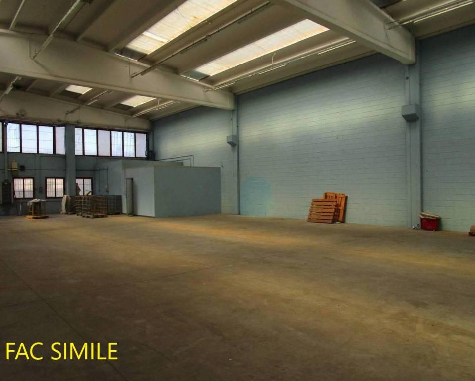 immagine annuncio 9 di 10