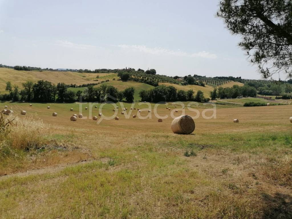 Terreno Agricolo in vendita a Siena
