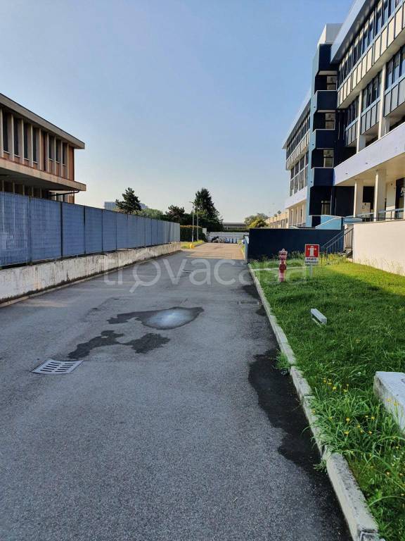 immagine annuncio 5 di 8
