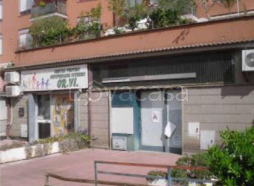 Filiale Bancaria in vendita a Viterbo via Carlo Cattaneo 46F